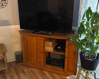 flat screen TV and stand
