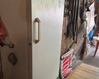 upright freezer