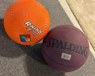 062 rhinochampionsportsballandspalding