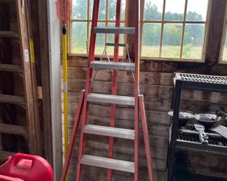Finerglass platform stepladder made by Louisville Ladder.