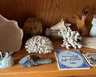 Assorted shells, coral, fossils, petrified wood, figurines, and other collectibles.
