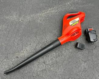 100 blackdeckercordlessbroomwithbattery