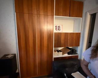 Vintage murphy bed wall unit