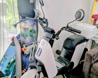 Electric Bike snowboard