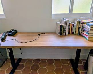 Electric Standing Desk