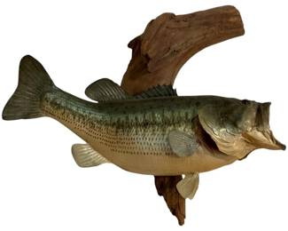 444 - Taxidermy Mounted Fish
