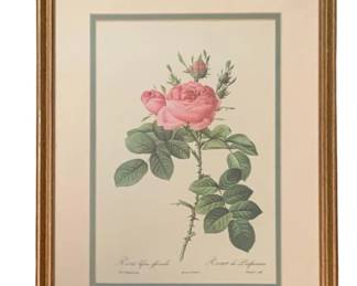 215 - Framed Print - 17 x 13