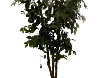 729 - Artificial Fichu Tree in Basket Planter - 73" tall (Description): includes string lights Used as is electric/electronic/mechanical item. No guarantee all components, untested.