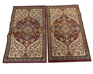 231 - 2 Accent Rugs - 52 x 31