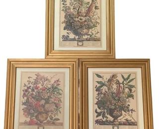 211 - 3 Framed Floral Month Prints - 12 x 10