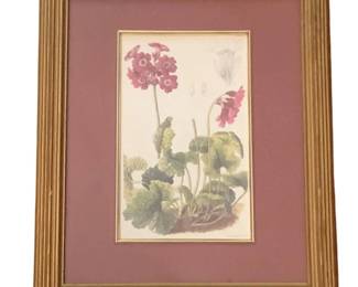 213 - Framed Print - 11.5 x 9.5