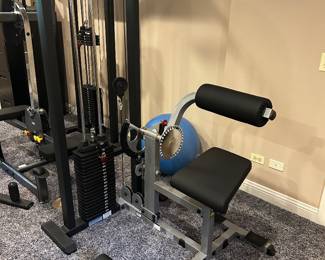 pro select crunch ab -core, with weight stack