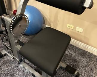 pro select crunch ab -core, with weight stack
