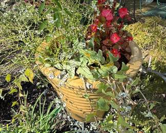 Assorted Garden Planters with Live Plants