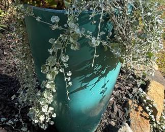 Assorted Garden Planters with Live Plants