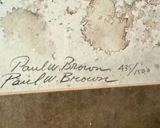 Paul W. Brown Signed Limited Edition Daisy Print