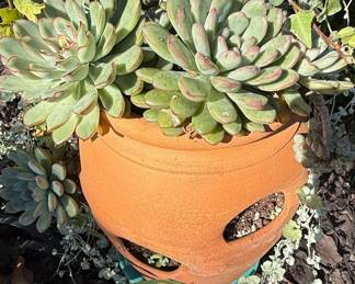 Assorted Garden Planters with Live Plants