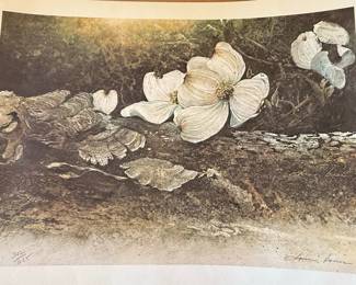 Jeanne Holgate Dogwood Print