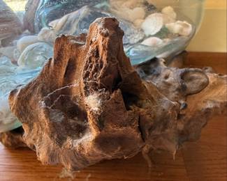 Driftwood and Blown Glass Shell Terrarium