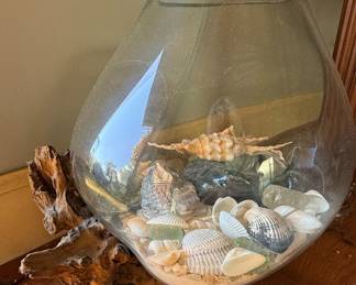 Driftwood and Blown Glass Shell Terrarium