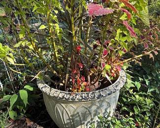 Assorted Garden Planters with Live Plants