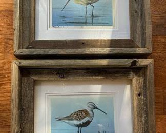 Mike Brown Signed Shorebird Prints