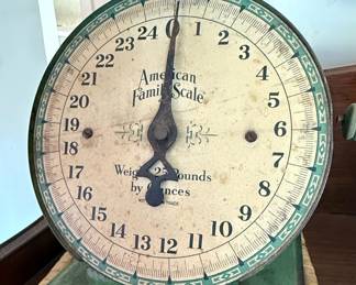American Family Scale