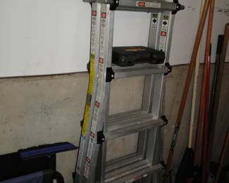 Little Giant ladder