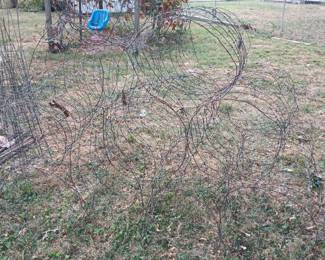 Tomato Cages