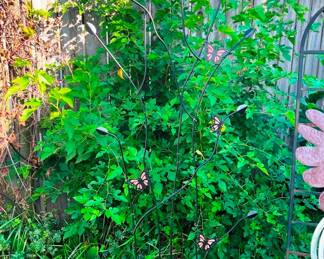 this is a jeweled trellis