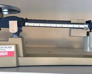 Scale
