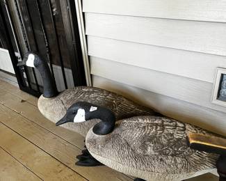 #185 Pair of Standing Canadian Geese Decoys - Tallest is 24"x30" Shorter 20" x 30" $45.00