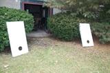 BEAN TOSS GAME