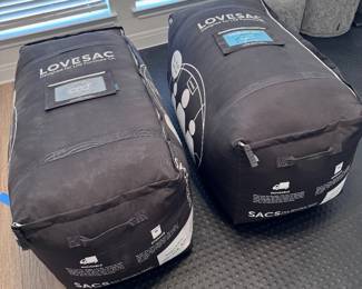 Love Sac Bean Bags with Super Shrink Kit Bags (2)