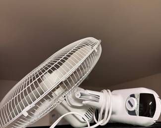 Fan