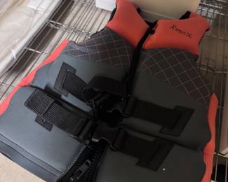 Life Vest