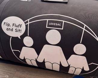 Love Sac Bean Bags with Super Shrink Kit Bags (2)