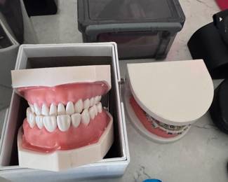 Practice Teeth molds or displays