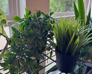Faux Plants