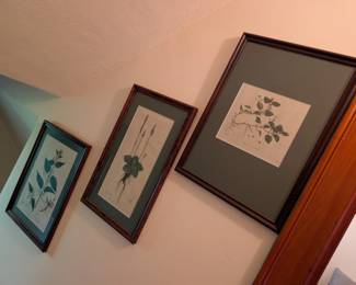 vintage nature art