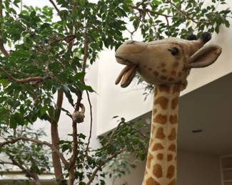 Steiff giraffe