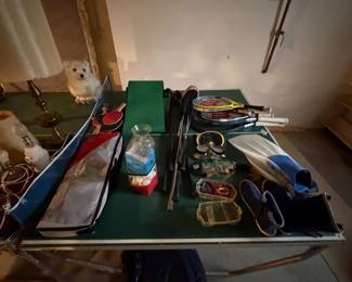sports gear, ping pong table tennis, scuba/snorkeling gear
