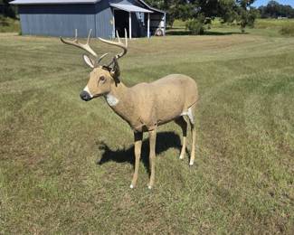Deer Decoy