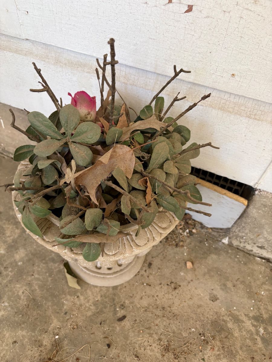 Outside decor