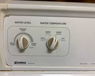 Washer controls