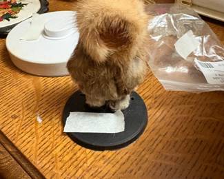 Souvenir from Alaska