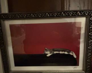 Contemporary Fine Art Photographic Print of Sleeping Cat by Emi Sato