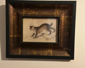 John James Audubon "Common American Wild-cat" Print