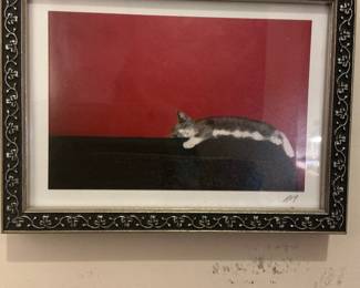 Signed Photographic Print of Sleeping Cat in Ornate Frame