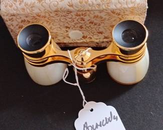 Vintage Mother-of-Pearl Opera Glasses with Original Case